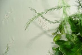 Bieżnik plamoodporny Dąb haft ecru - owal